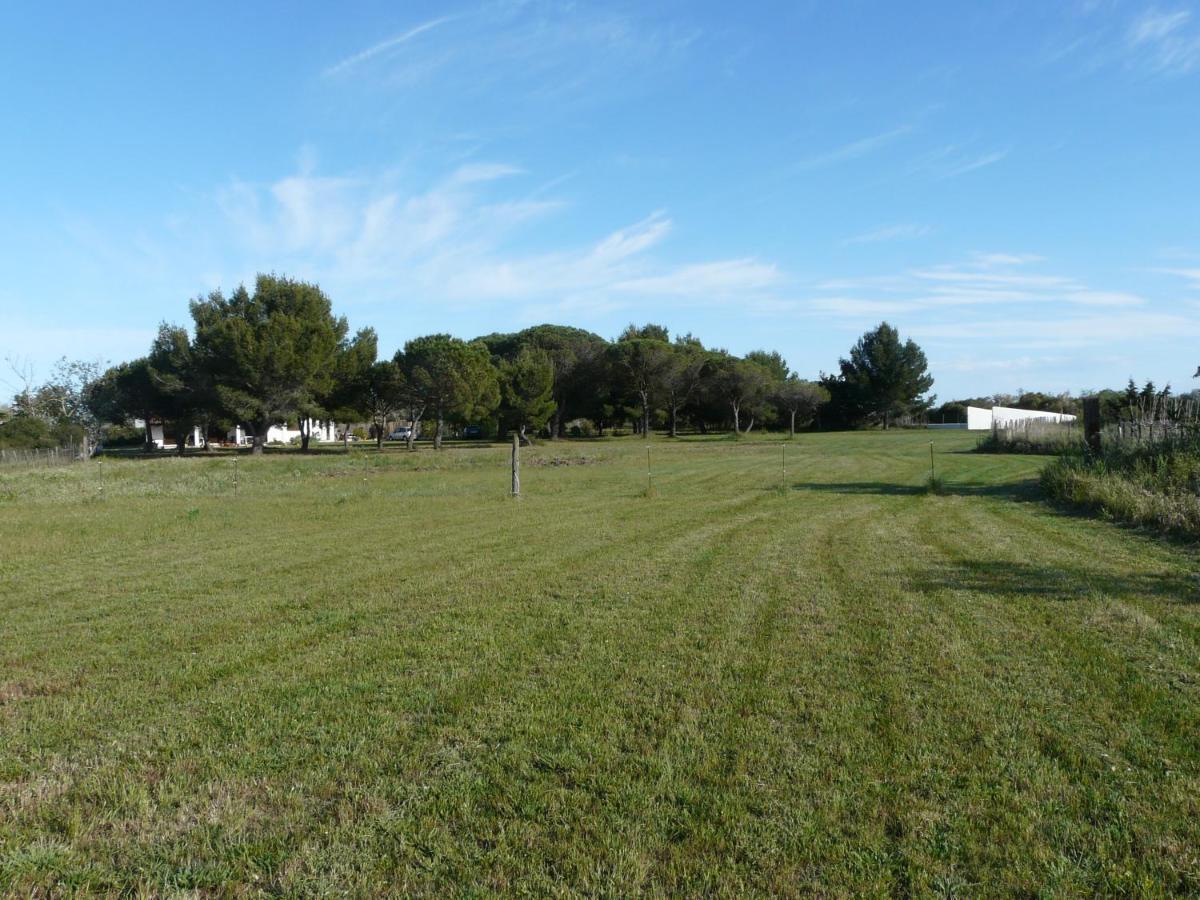 Mas Du Clos De La Barque Saintes-Maries-de-la-Mer Exterior photo
